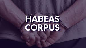 HABEAS CORPUS: INSTRUMENTO DE TUTELA DA LIBERDADE ? GARANTIA FUNDAMENTAL